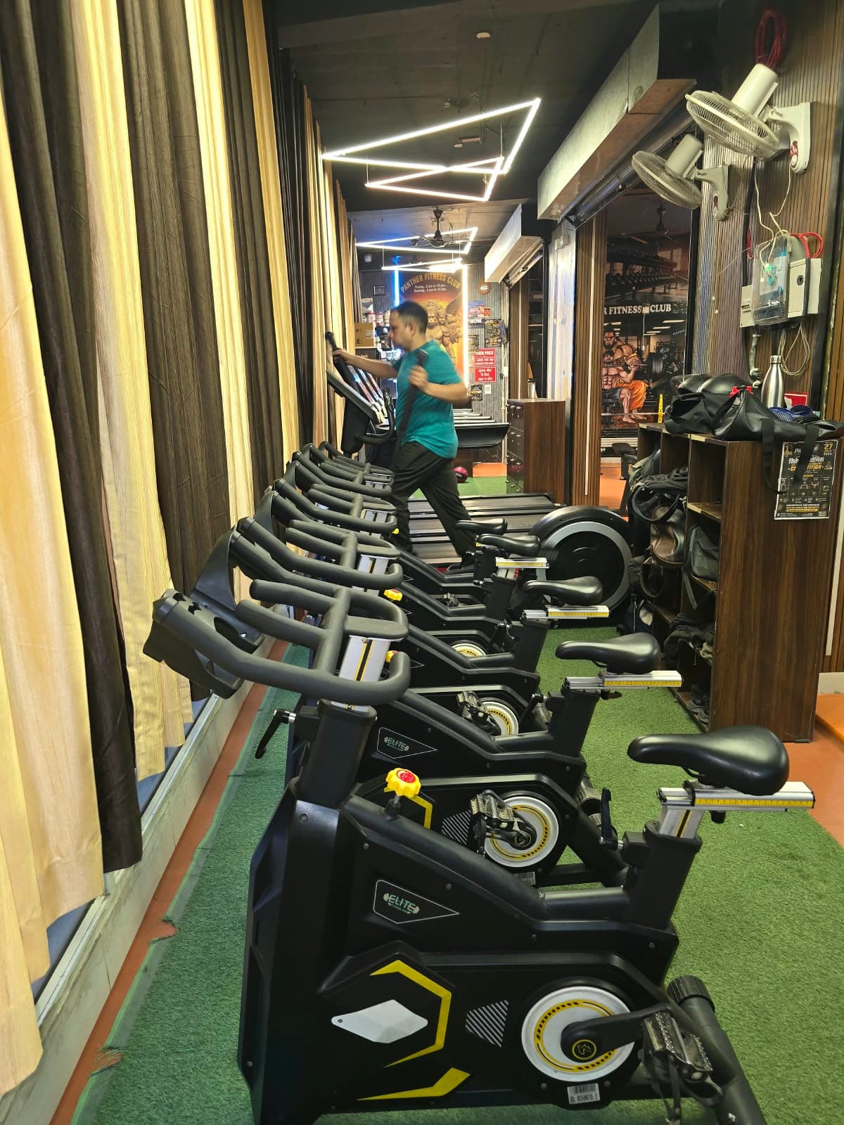 Dumbbells lined up on the rack